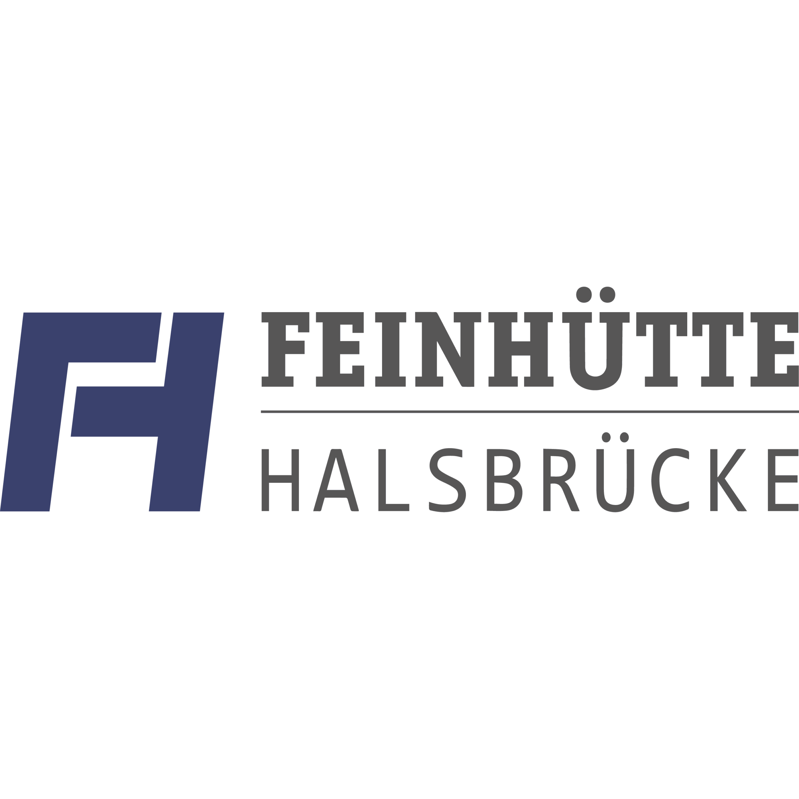 Feinhütte_Halsbrücke